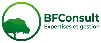 Logo de BF Consult